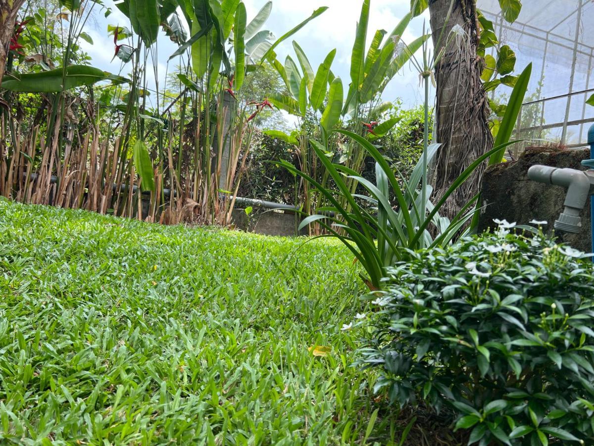 Tropical Garden Phu Quoc Appartement Buitenkant foto