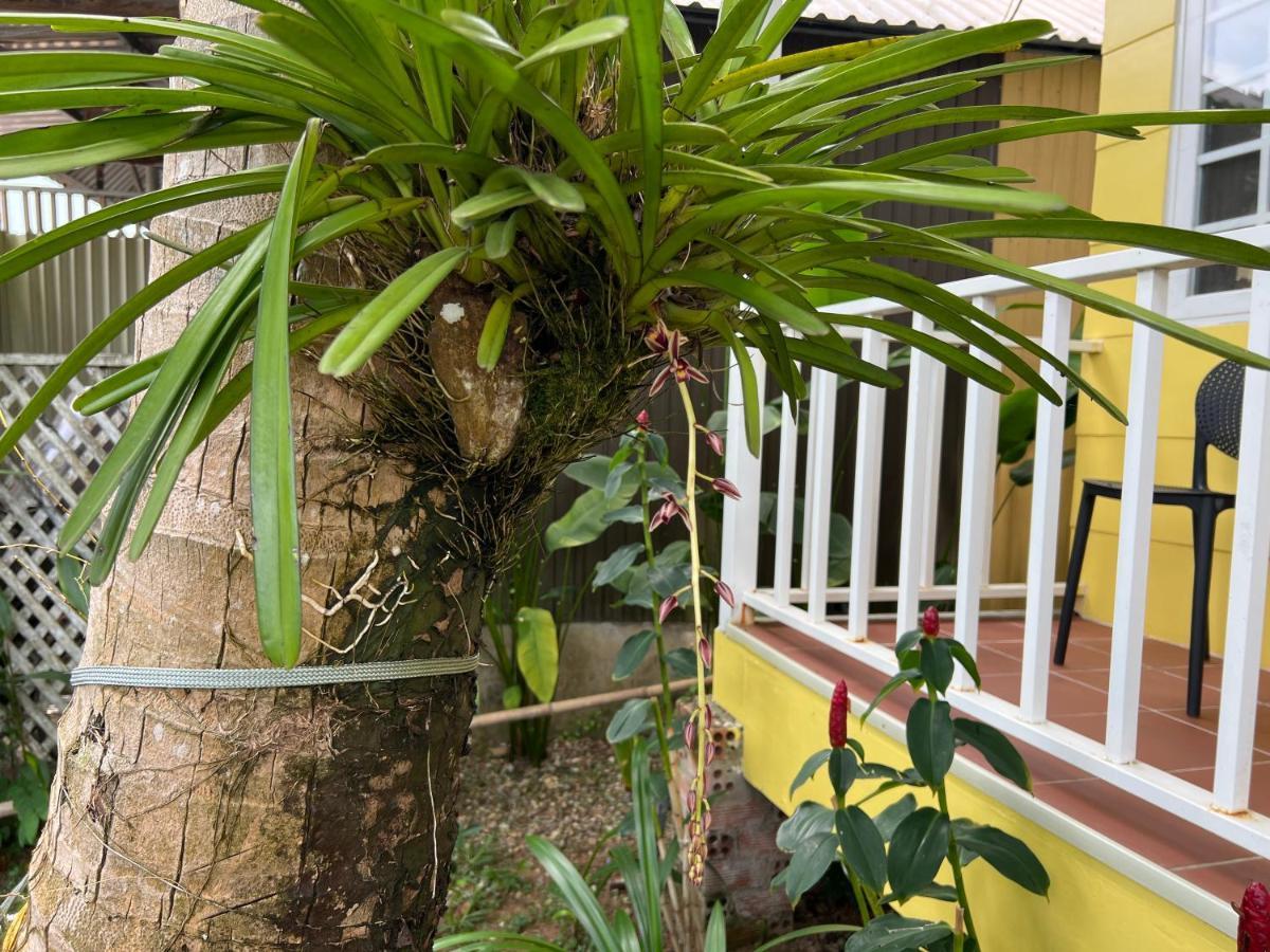 Tropical Garden Phu Quoc Appartement Buitenkant foto